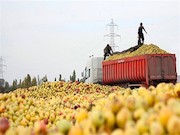 نیاز به پوست اندازی در سیستم صادراتی کشاورزی