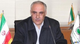 بورس کالا به تعادل قیمت شکر کمک کرده است