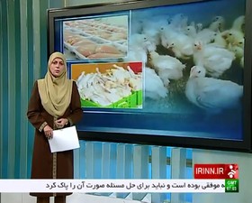 شبکه خبر؛ ساماندهی بازار مرغ از طریق بورس کالا