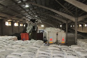 شکر ارزان در راه است/عرضه روزانه ۱۵هزارتن شکر ۲۵۲۰ تومانی در بورس