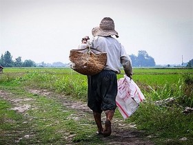 چرا قیمت تضمینی از خرید تضمینی بهتر است؟