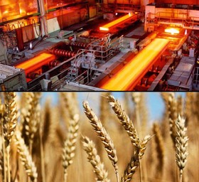 معامله ۸ هزار تن تختال ثبت شد/گندم خوراکی، یکه تاز تالار کشاورزی