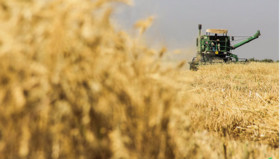 معامله کنجاله، گندم، مرغ، شکر و جو در تالار کشاورزی