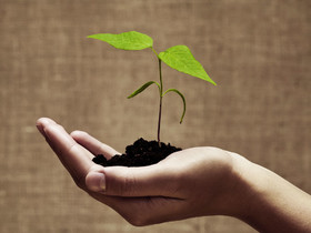 «تامین مالی» و «تنظیم بازار» دو کارکرد اصلی ابزارهای مالی