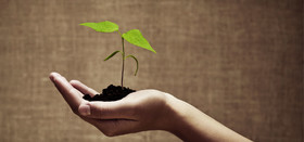 امنیت آینده بازارها از کانال صندوق‌های کالایی