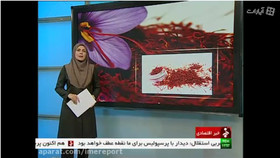 تشریح مزایای بورس زعفران برای کشاورزان