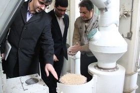 کارخانه آرد تابان