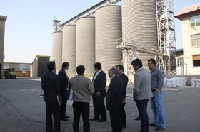 کارخانه آرد تابان