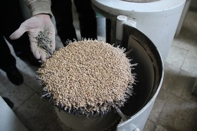 کارخانه آرد تابان