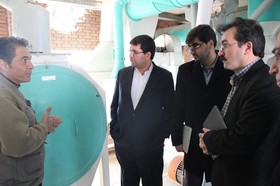 کارخانه آرد تابان