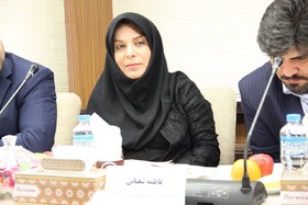 گزارش تصويري