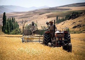 بار مالی دولت از مسیر بورس کالا سبک می شود/
طرح قیمت تضمینی کمکی بزرگ به خزانه