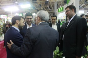 نمایشگاه دام و طیور