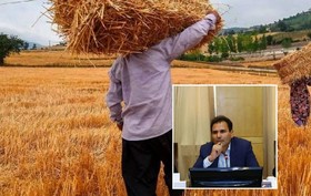 نقش بورس کالا در توسعه بخش کشاورزی/از اجرای طرح قیمت تضمینی تا نظام انبارداری