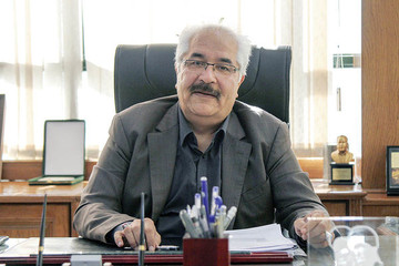 «قیمت گذاری» عامل اختلاف فولادی ها و سنگ آهنی ها/
قیمت ها باید آزاد باشد