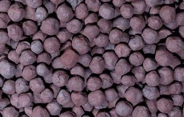 افزایش تقاضای گندله در جهان