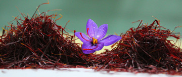 قیمت جهانی زعفران ایران گران‌تر از بازار داخل است