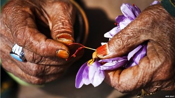 قیمت زعفران نوسانات زیادی دارد/تفاوت نرخ داخل با مقاصد صادراتی بالاست