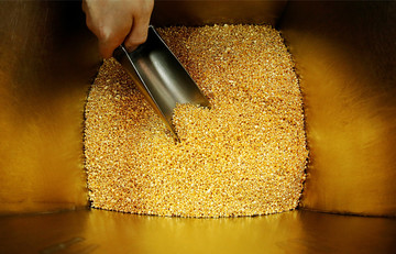 بانکهای مرکزی جهان چقدر طلا دارند؟