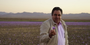 ایجاد شفافیت قیمتی زعفران با عرضه در بورس کالا