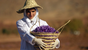آپشن زعفران به کشاورزان قدرت انتخاب می دهد/آوازه بورس زعفران ایران در جهان