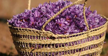 معامله ۸۱۳ کیلوگرم زعفران نگین در بازار آتی بورس کالا