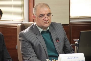 گزارش تصویری فصل برداشت زعفران در تربت حیدریه