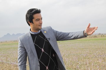گزارش تصویری فصل برداشت زعفران در تربت حیدریه