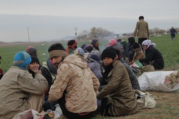 گزارش تصویری فصل برداشت زعفران در تربت حیدریه