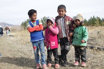 گزارش تصویری فصل برداشت زعفران در تربت حیدریه