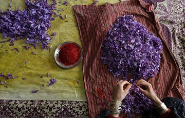 تغییر در ترکیب وجه تضمین قرارداد آتی پوشال معمولی