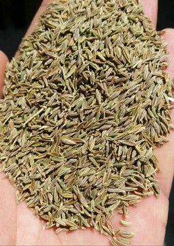 شمارش معکوس برای آغاز آزمایشی معاملات گواهی سپرده زیره سبز