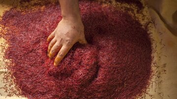 انبارهای بورسی آماده پذیرش زعفران تولید سال ۹۸