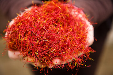 گشایش یک انبار جدید زعفران با ظرفیت ۶ تن