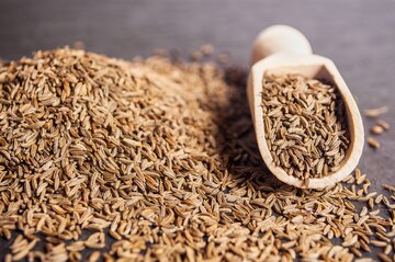 فرایند تحویل قراردادهای آتی زیره سبز سررسید آذر ماه ۹۹