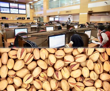 باغداران در انتظار آغاز معاملات پسته در بورس کالا