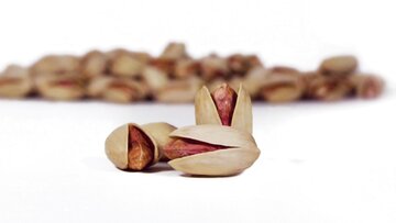 معامله ۱۷۶ تن پسته در قالب گواهی سپرده کالایی