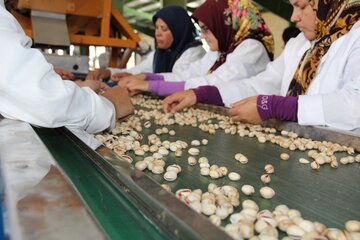 زمان و فرآیند تحویل قرارداد آتی پسته اعلام شد