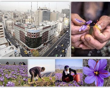 رونق معاملات آتی زعفران نگین برای تحویل شب عید