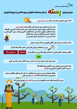 پسته کاران چگونه می توانند محصول خود را به گواهی سپرده کالایی تبدیل کنند؟
