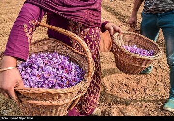 افتتاح نماد بورسی زعفران در بورس کالا