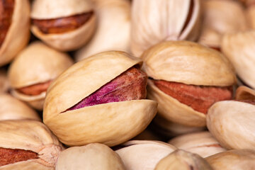 جهش صادرات پسته در ۴ ماهه نخست امسال