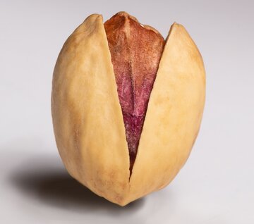 پسته ایران و آمریکا از نگاه آمار