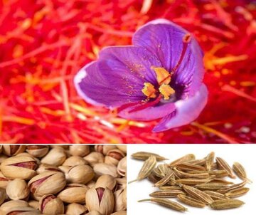 انعقاد بیش از ۳۱۷ هزار قرارداد آتی در بورس کالا