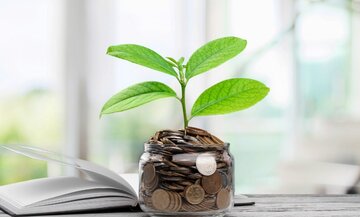 فاز اول درگاه «تامین مالی از طریق بازار سرمایه» راه‌اندازی شد