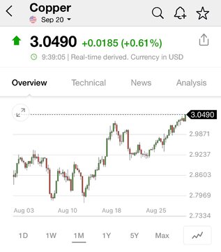 مس جهانی همچنان در حال رشد