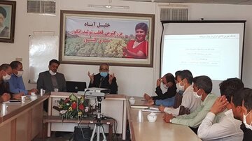 فعالان بازار کشمش با معاملات گواهی سپرده کالایی آشنا شدند