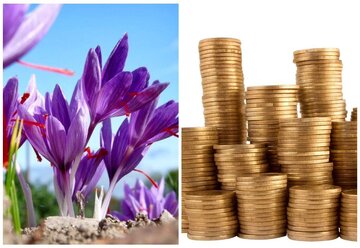 دادوستد بیش از ۱۰.۷ میلیون گواهی سپرده کالایی 