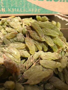 اولین انبار پذیرش شده کشمش در بورس کالا