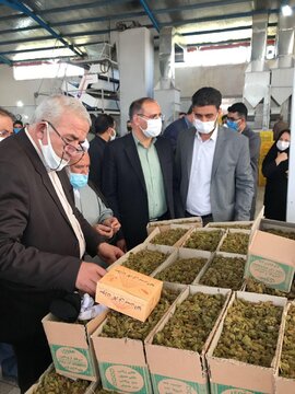 اولین انبار پذیرش شده کشمش در بورس کالا